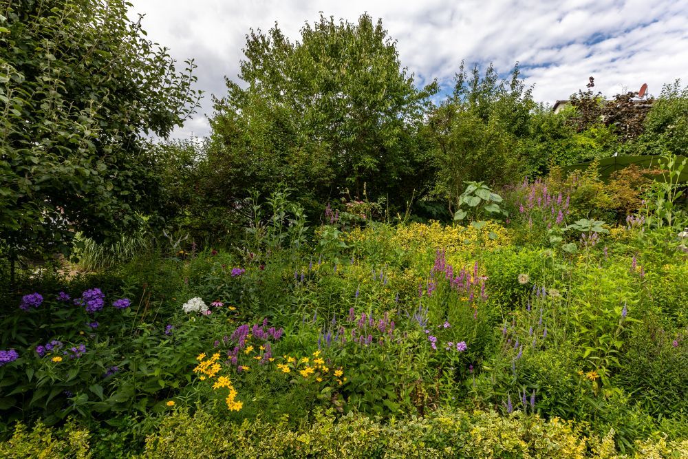 bunter Wildblumengarten