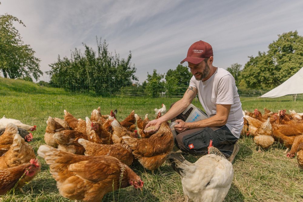 Johannes Lorenz füttert seine Hühner im Freien.
