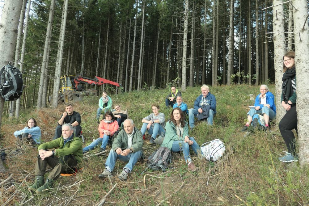 Menschen sitzen an einem Hang im Wald.