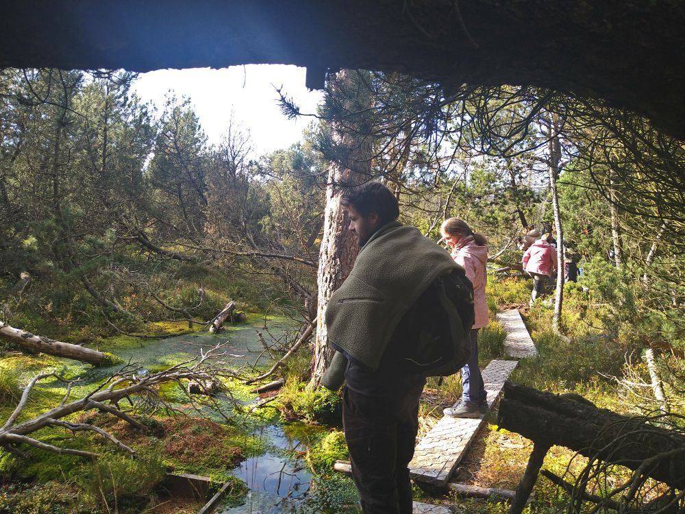Menschen auf einem Bohlenweg im Moor