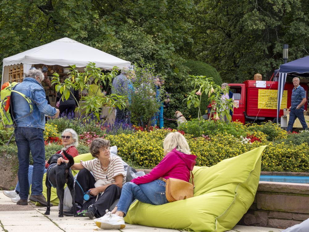 Menschen sitzen im Marktgeschehen vor blühenden Beeten auf Sitzsäcken und unterlhalten sich.