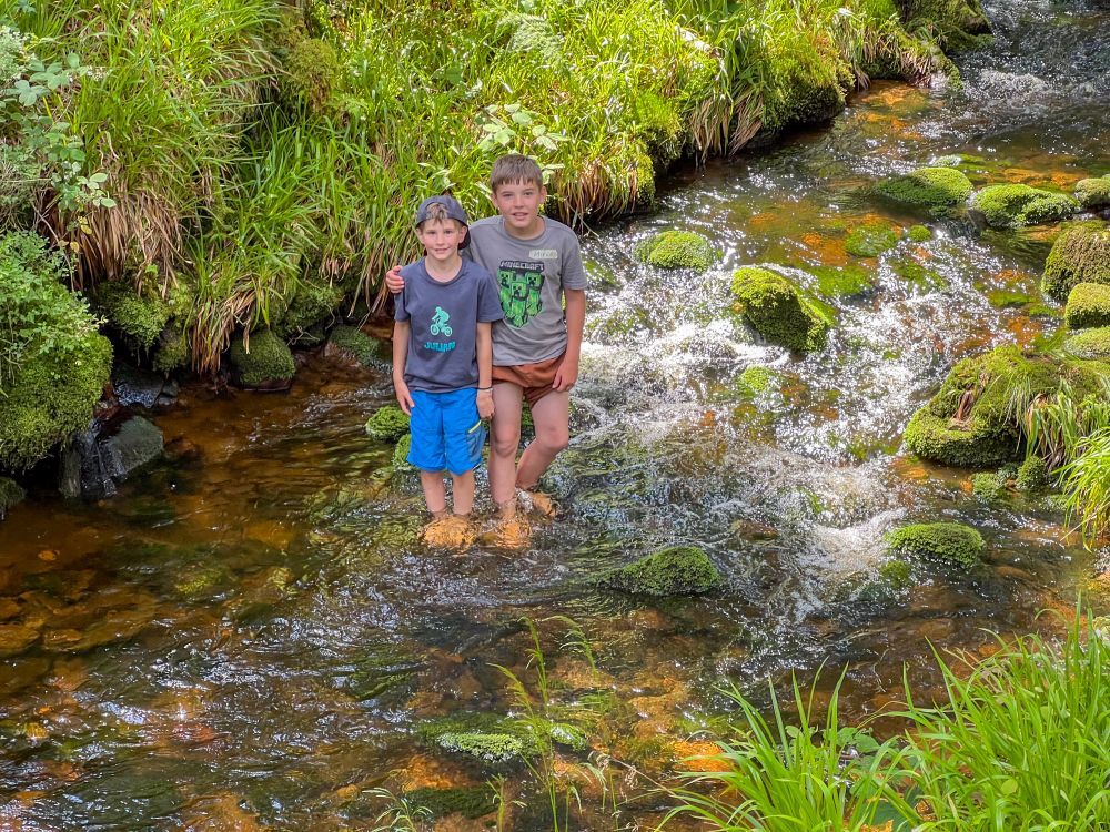 Zwei Jungs stehen in einem Bach.
