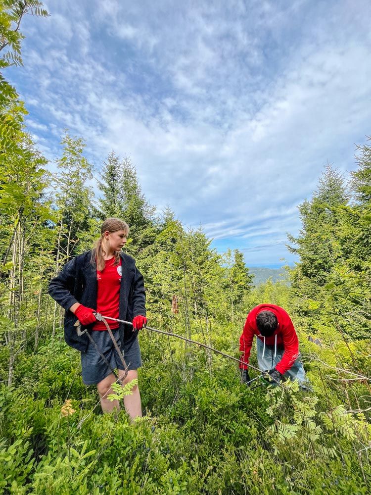 Zwei Jugendliche bei der Landschaftspflege mit Astschere im Rahmen der Ehrensache-Aktion Baden-Baden