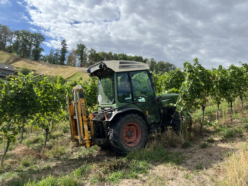 Traktor in Weinreben