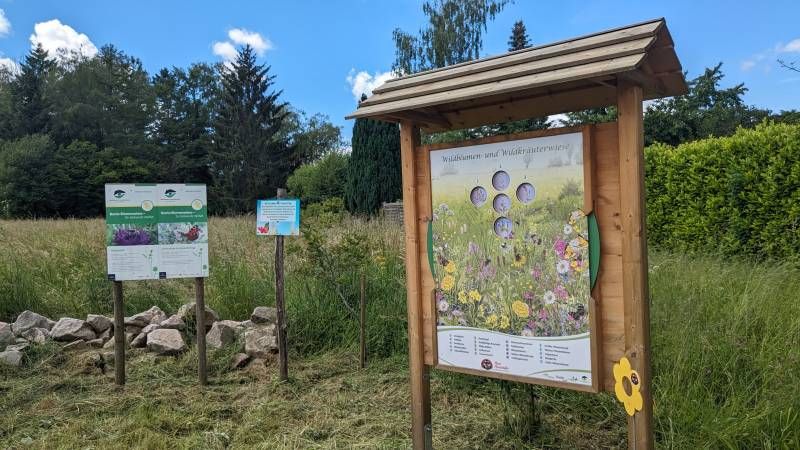 Exkursion Blühendes Lautenbach