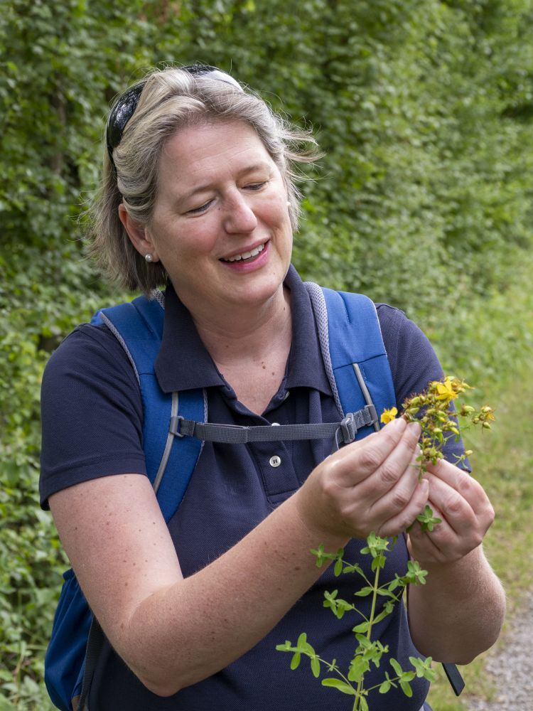 Eine Frau hält eine Pflanze in ihrer Hand