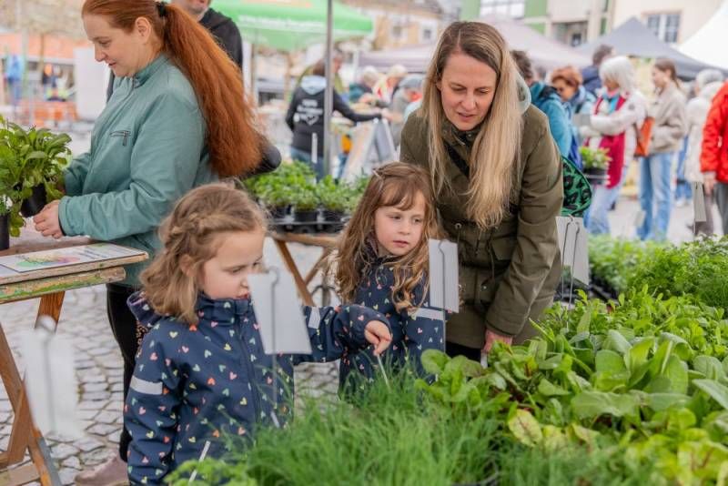 Eine Frau und zwei Mädchen schauen sich Kräuterpflanzen an einem Markt-Stand an.