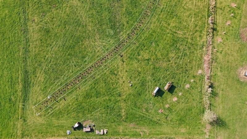 Frisch gepflanzte Bäume und Sträucher auf einer Grünfläche aus der Vogelperspektive