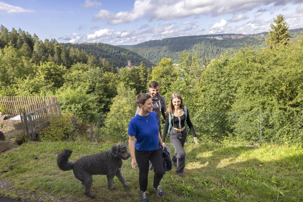 Familie mit Hund wandern durch die Natur.