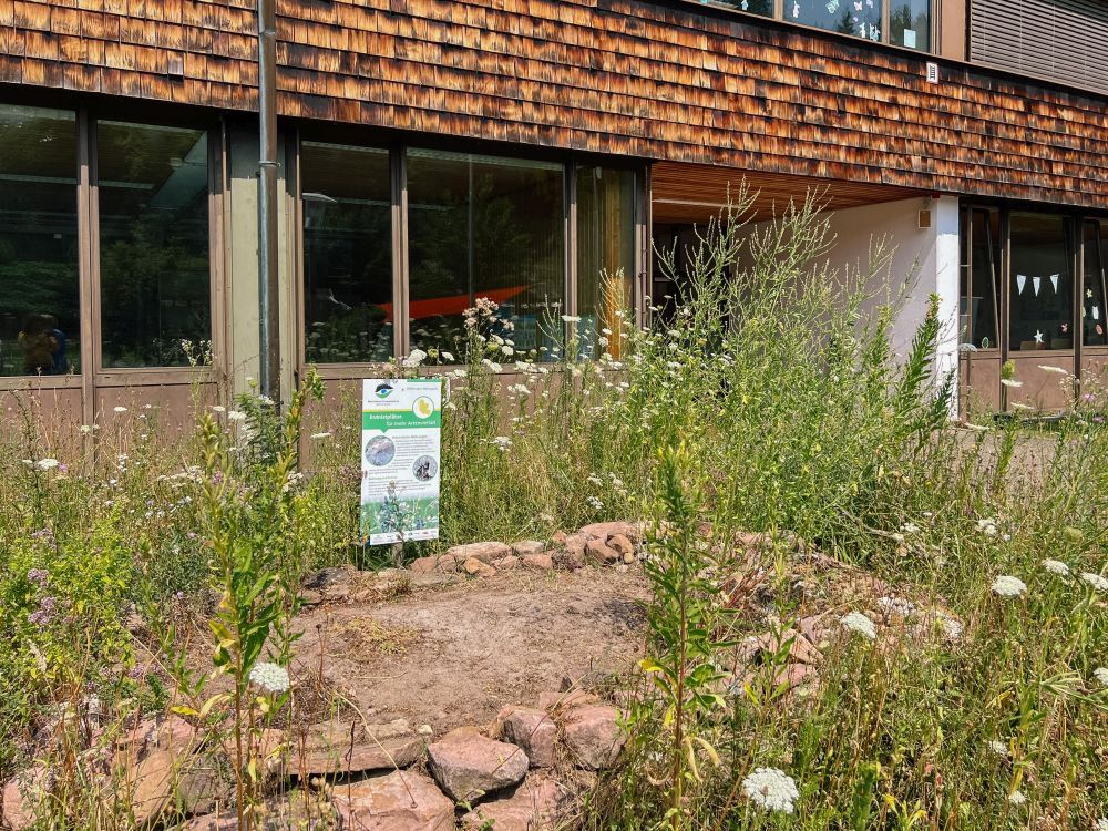 Sandarium vor Naturpark-Schule