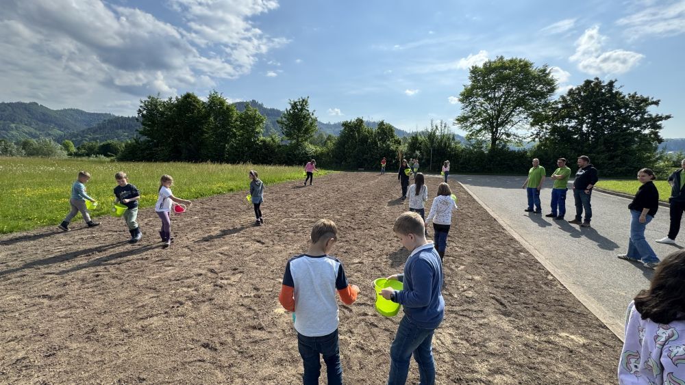 Kinder säen Wildblumenwiese ein.