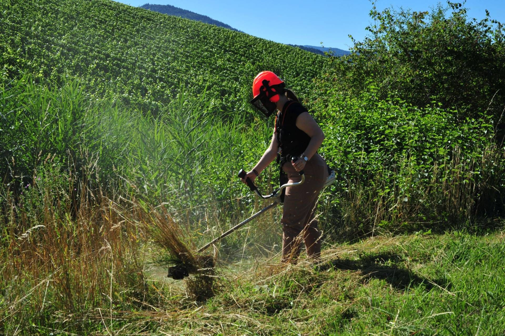 Ehrensache Natur in Kappelrodeck,  Foto: Christian Schütt
