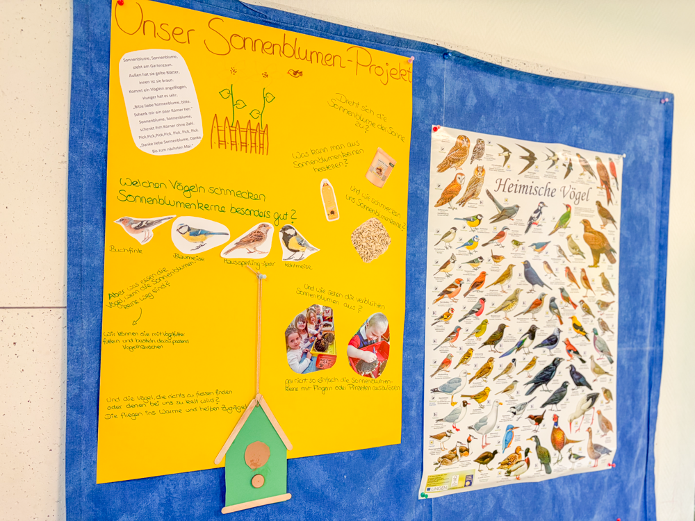 gelbes Plakat zum Sonnenblumenprojekt & Plakat mit Vögeln