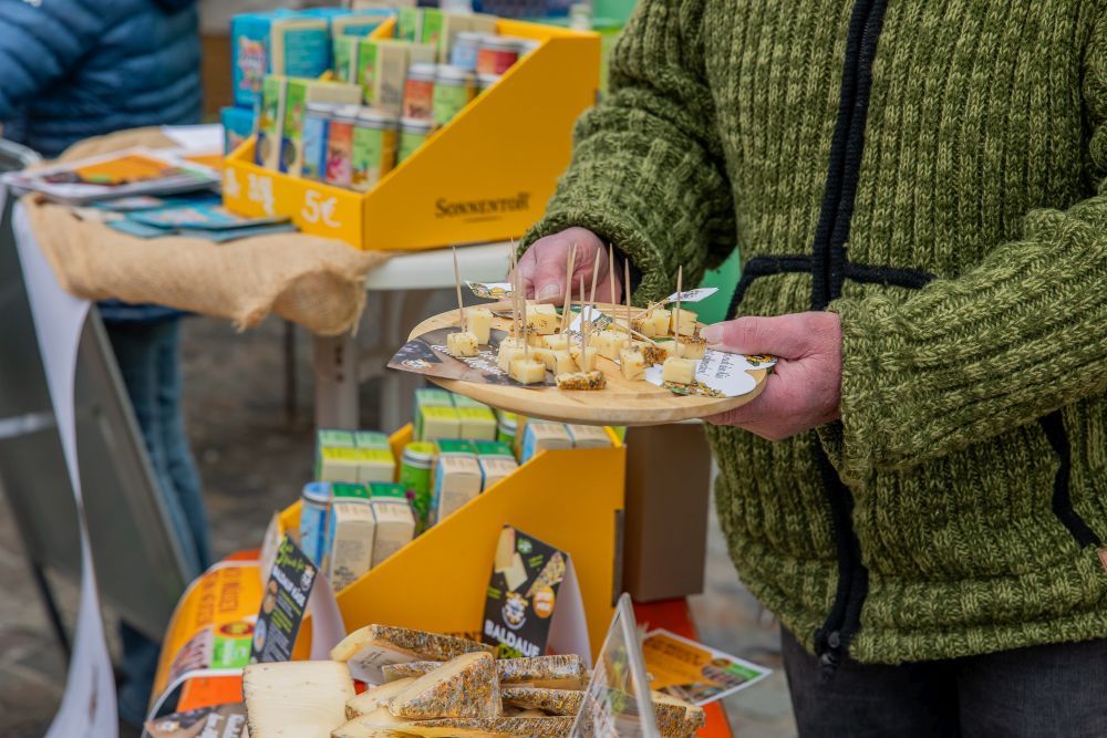 Käsestücken zum Probieren auf einem Holzbrett