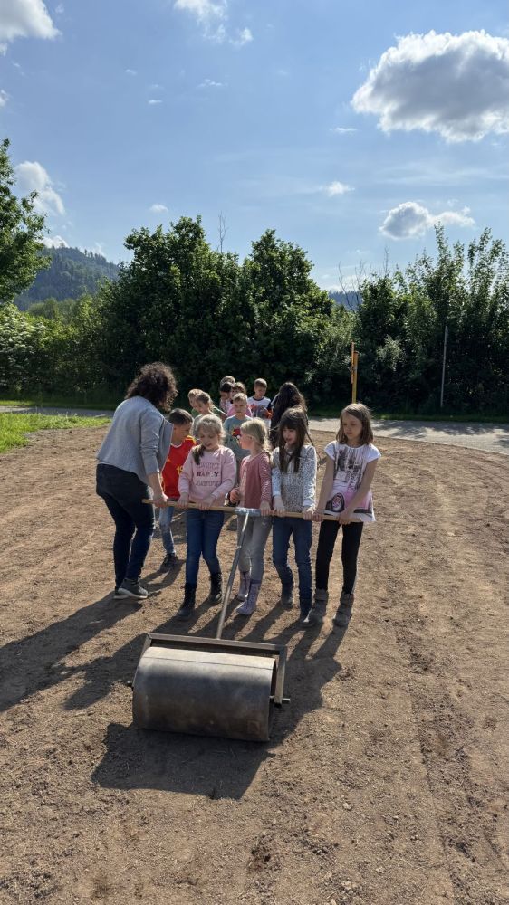 Kinder ziehen eine Walze über eine frisch eingesäte Fläche.