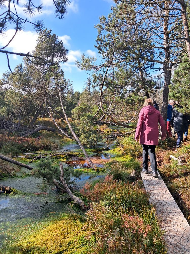 Eine Frau läuft auf einem Holzbohlenweg durch eine Moorlandschaft.