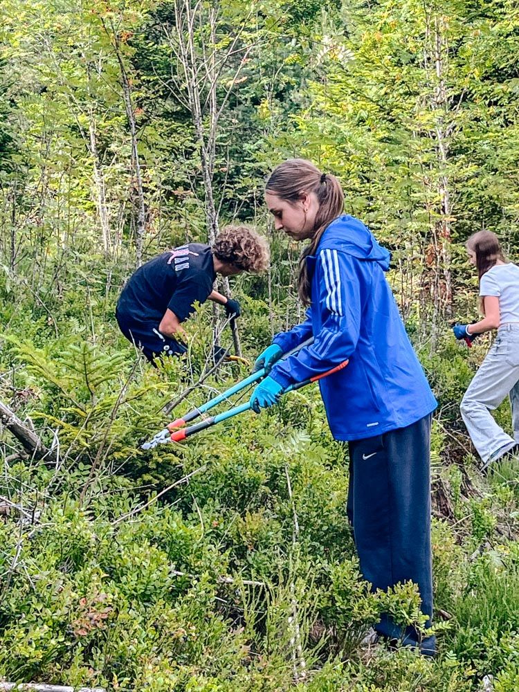 Freiwillige schneiden mit Gartenscheren Sträucher zurück, um die Fläche im Naturpark offen zu halten