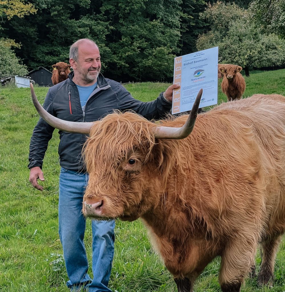 Ein Mann mit einem Hochlandrind