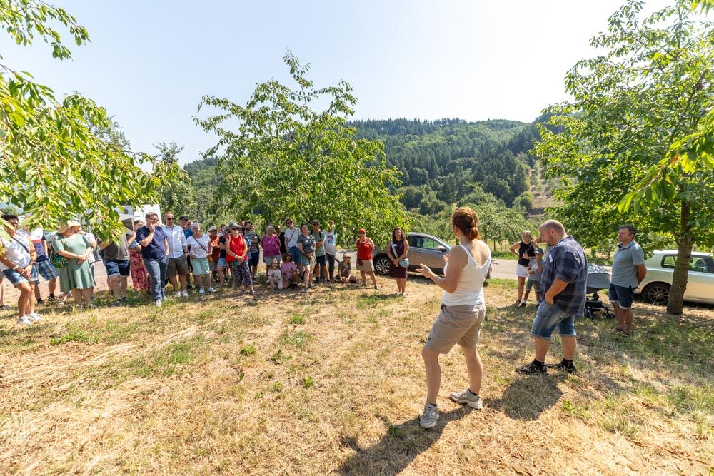 Hofführung zum Schweine-Gelände auf den Streuobstwiesen