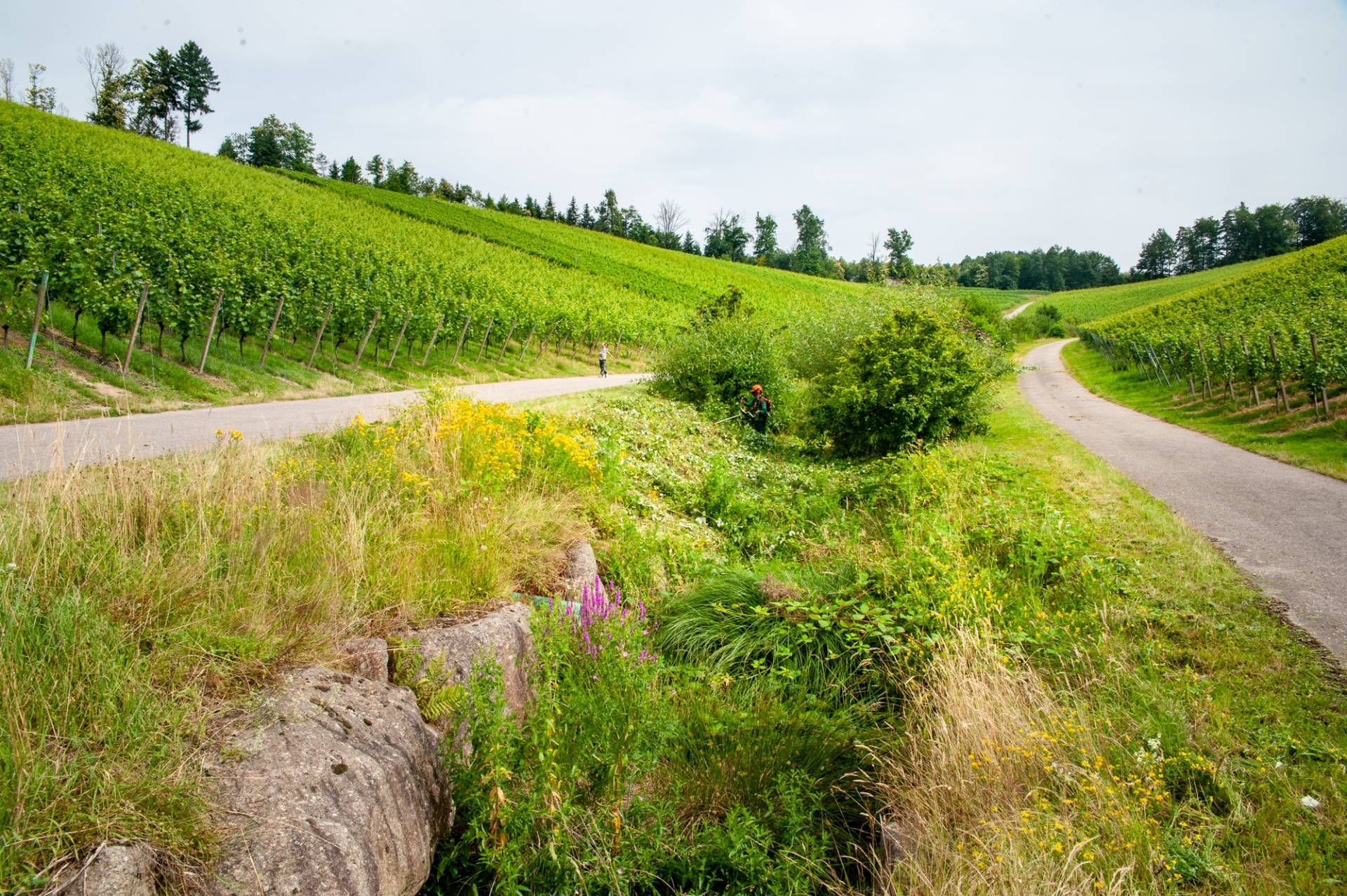 Ehrensache Natur in Kappelrodeck,  Foto: Christian Schütt