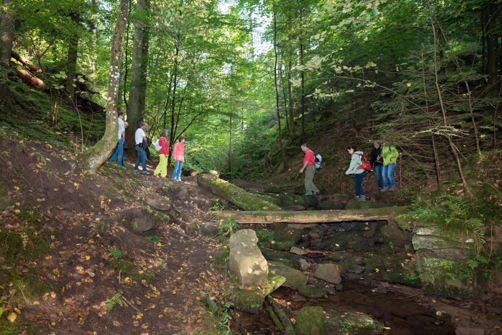 Menschen balancieren über einen Holzstamm und überqueren einen Bach.
