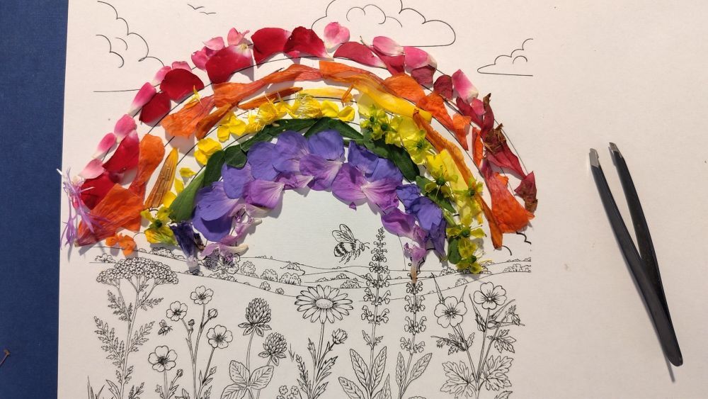verschiedenfarbige Blütenblätter liegen auf einem Ausmalbild und bilden einen Regenbogen