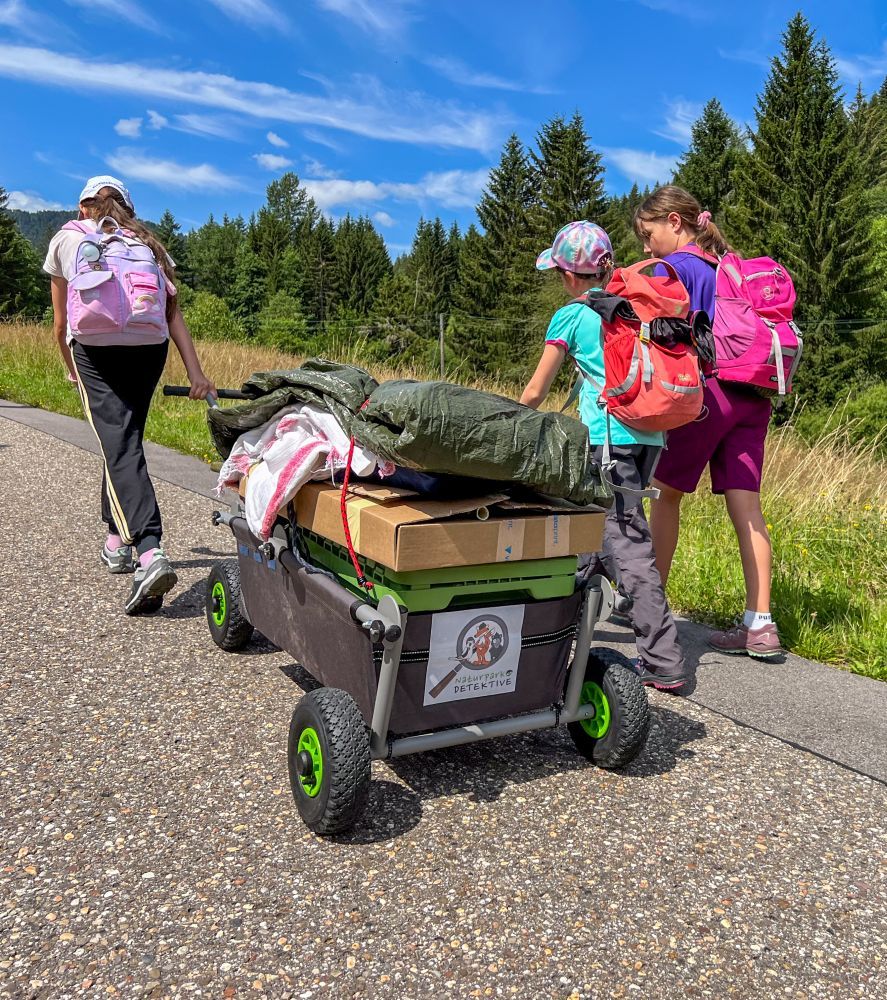 Schülerinnen sind mit dem Naturpark-Entdeckerwagen im Wald unterwegs.