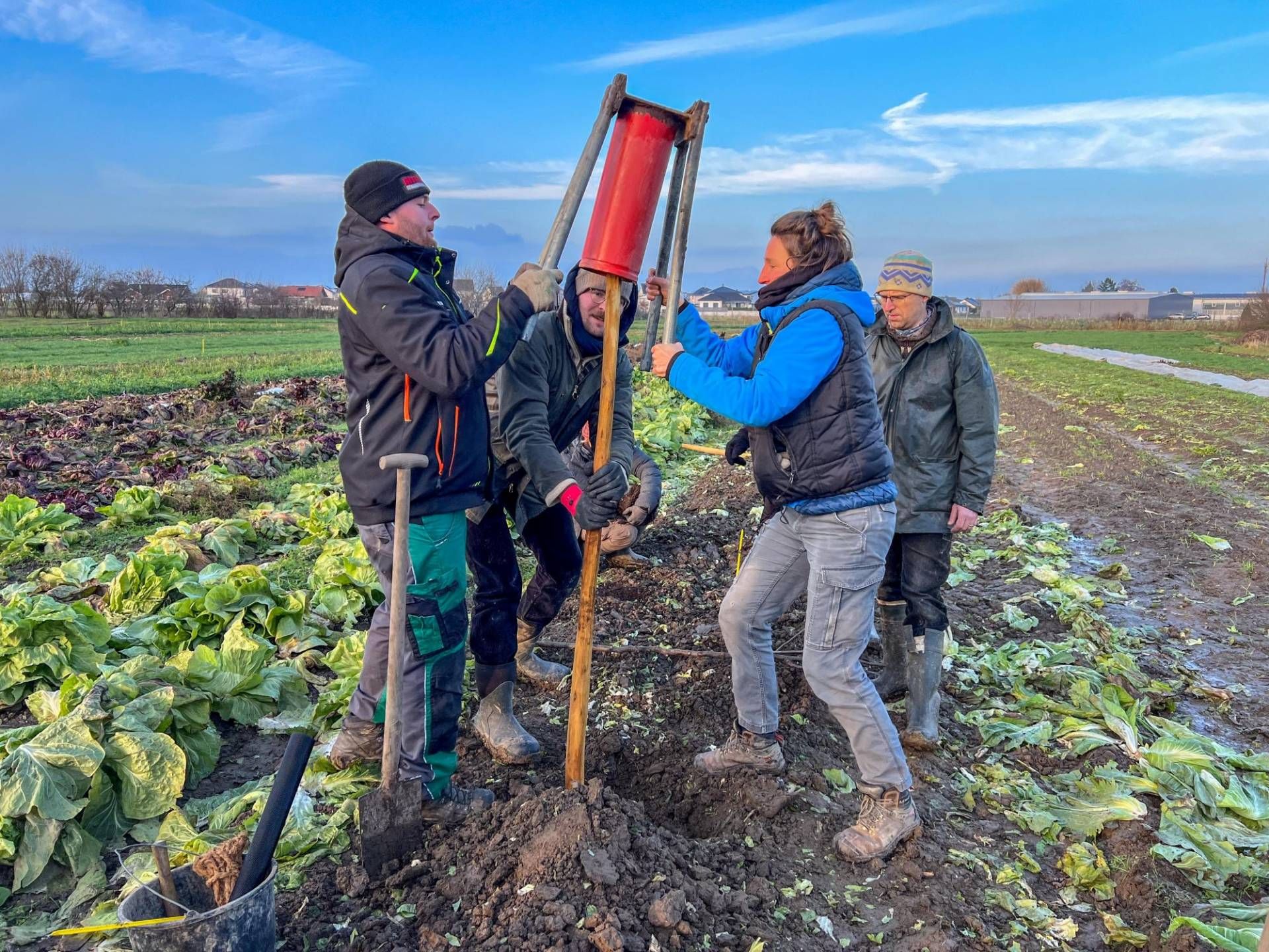 Jetzt anmelden und mitanpacken: Höfe im Naturpark Schwarzwald Mitte/Nord durch Pflanz-Aktionen klimafit mitgestalten. Bildrechte: Gundi Woll/Naturpark Schwarzwald Mitte/Nord e. V.; frei zur einmaligen Verwendung nur in Verbindung mit einer redaktionellen Berichterstattung über den Naturpark.