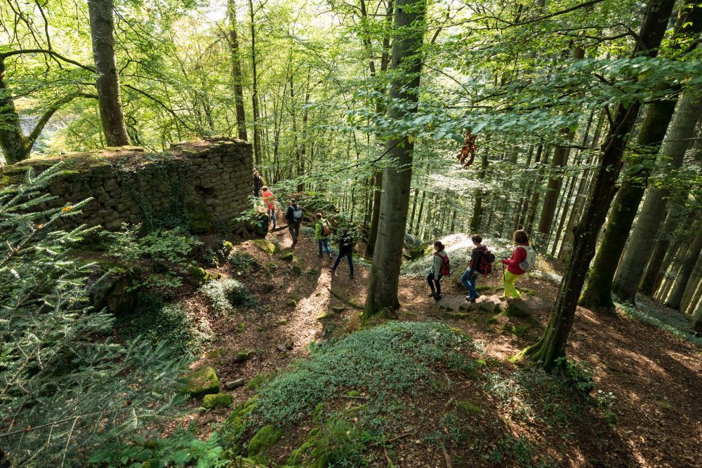 Menschen wandern durch einen Wald mit Felsen.