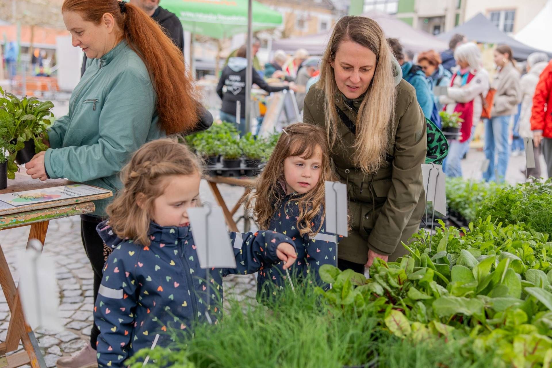 Eine Frau und zwei Mädchen schauen sich Kräuterpflanzen an einem Markt-Stand an. Bildrechte: Tobias Stampf; frei zur einmaligen Verwendung nur in Verbindung mit einer redaktionellen Berichterstattung über den Naturpark.