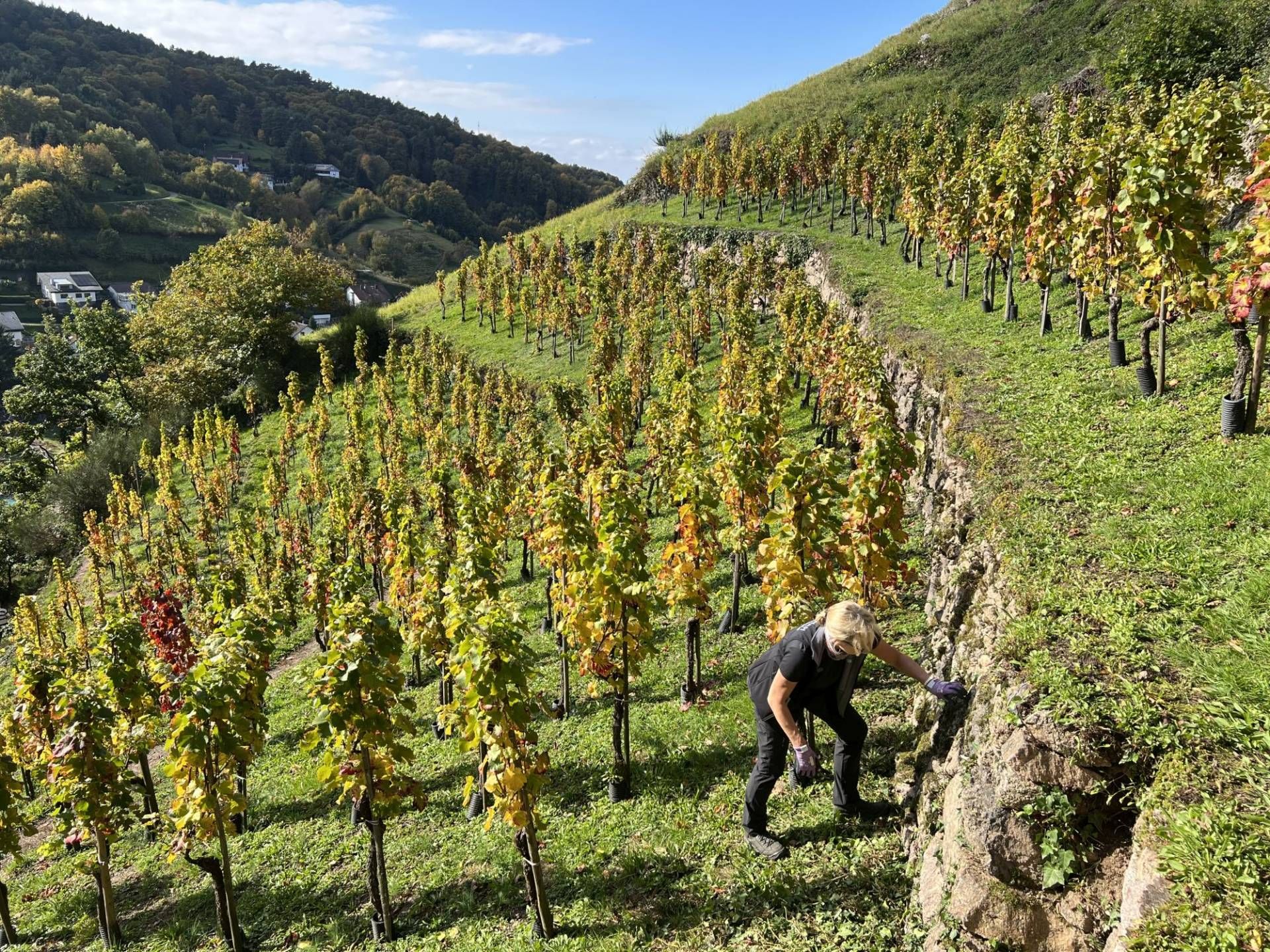 Ehrensache Natur in Bühlertal, Foto: Gundi Woll