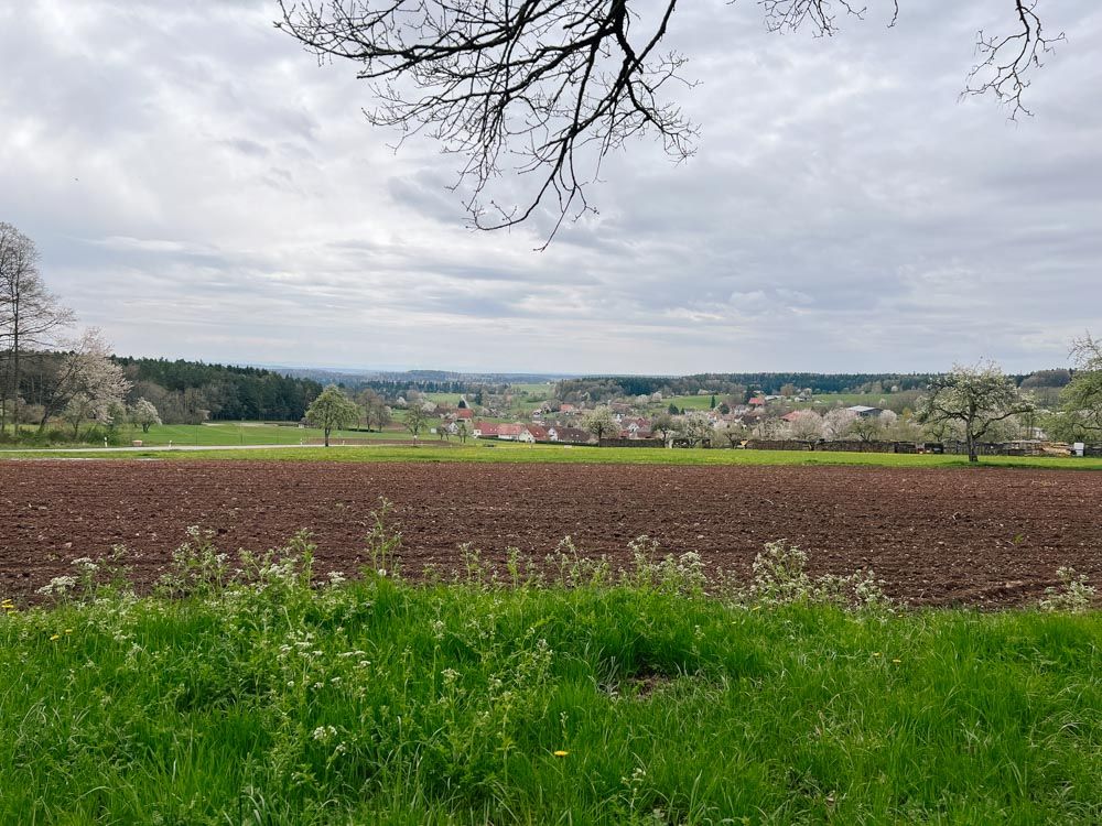Aussicht vom Naturpark-AugenBlick auf dem Zettelberg