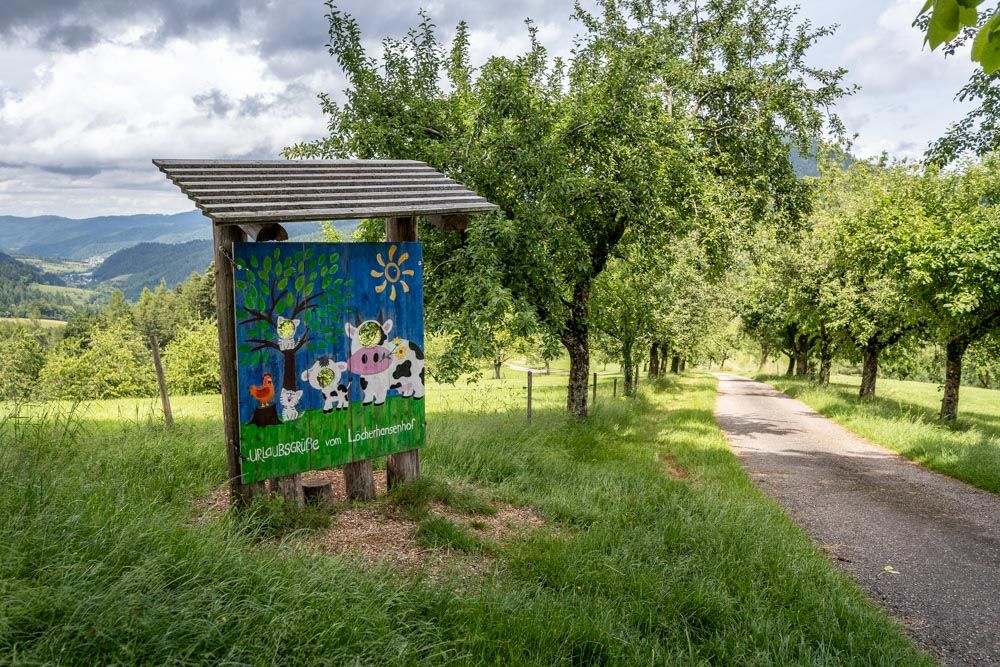 Holzstand mit Bild von Kühen und Selfie-Option am Wegesrand