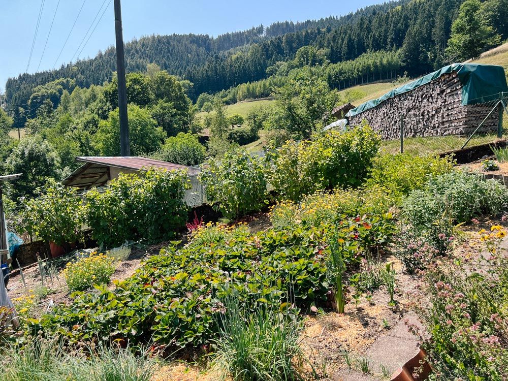 Bauerngarten