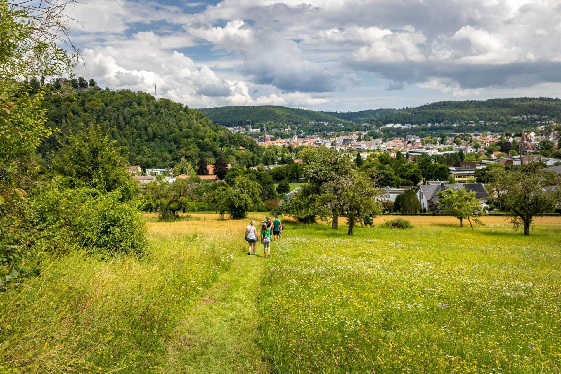Eine Menschengruppe wandert über eine Streuobstwiese in Richtung eines Dorfes. Dieses ist umgeben von bewaldeten Schwarzwaldhügeln.