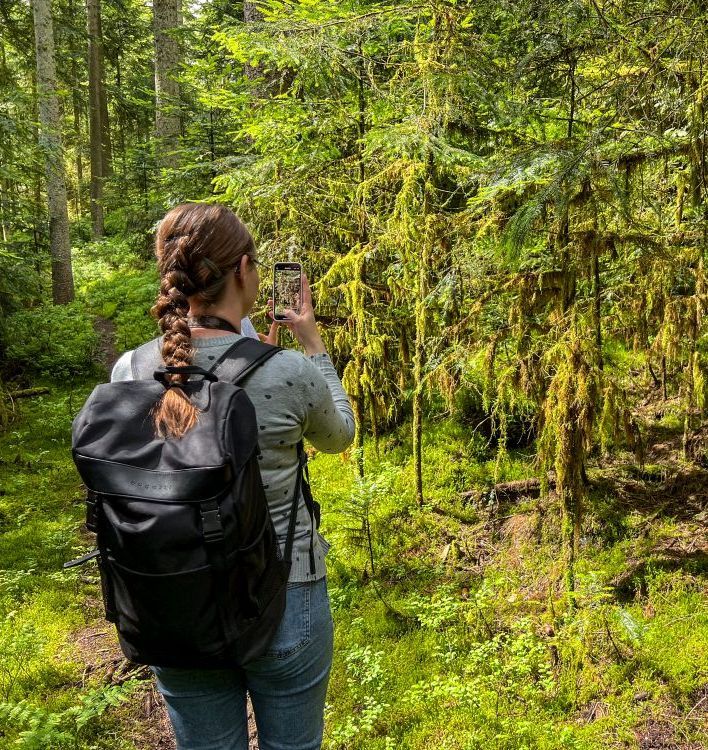 Eine junge Frau fotografiert mit ihrem Handy Moos, das von Bäumen im Wald herabhängt.