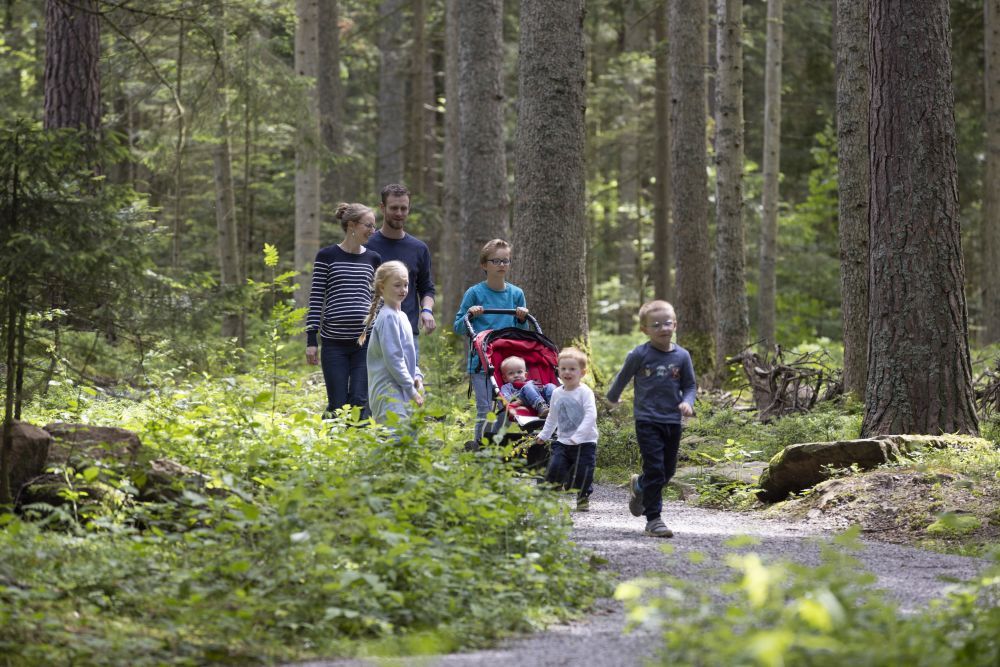 Familie wandert im Wald