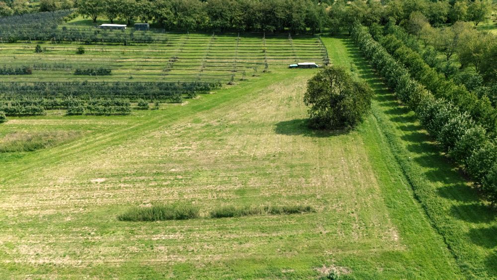 Grünland auf der Lorenz.Farm
