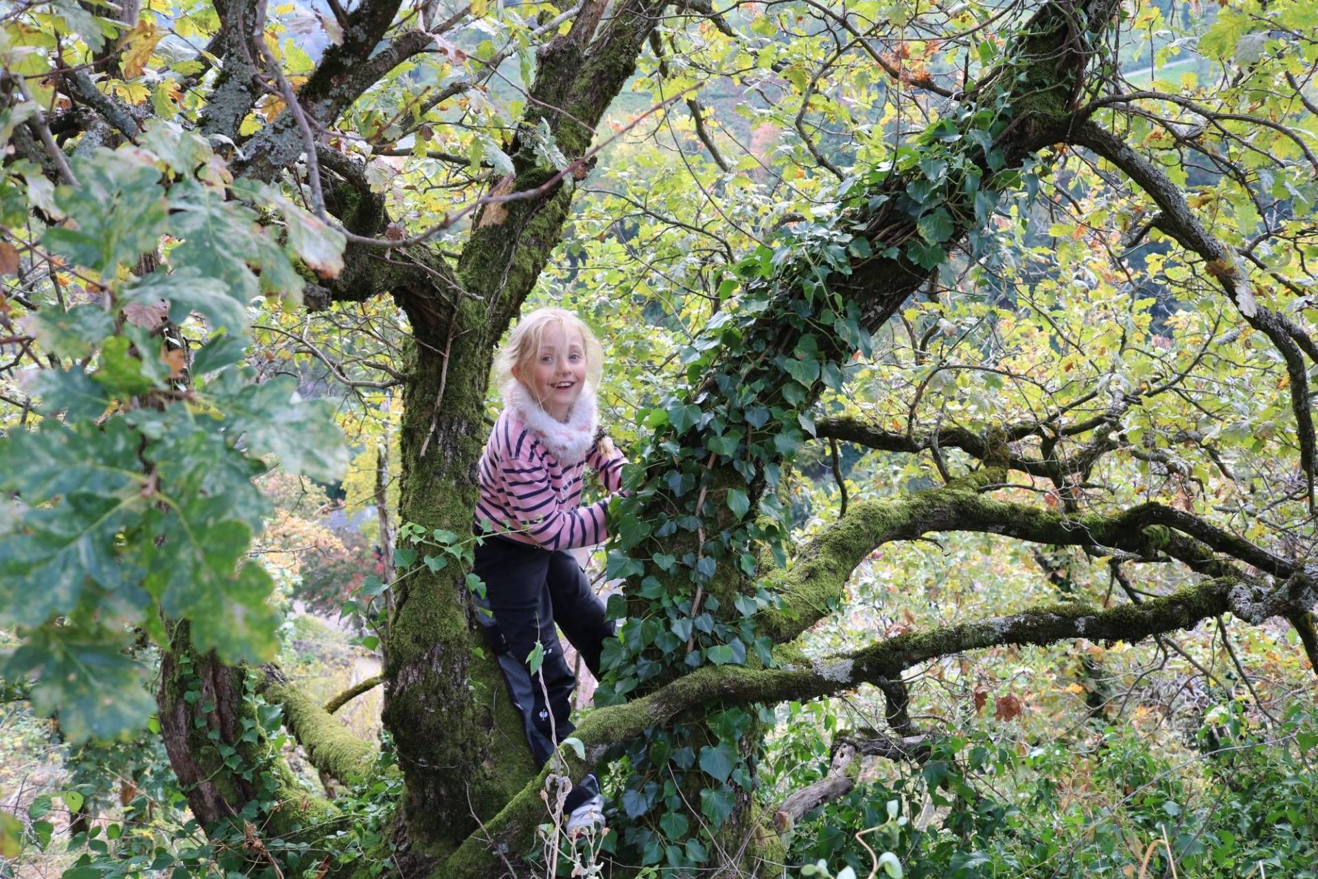 Ehrensache Natur in Bühlertal, Foto: Gundi Woll