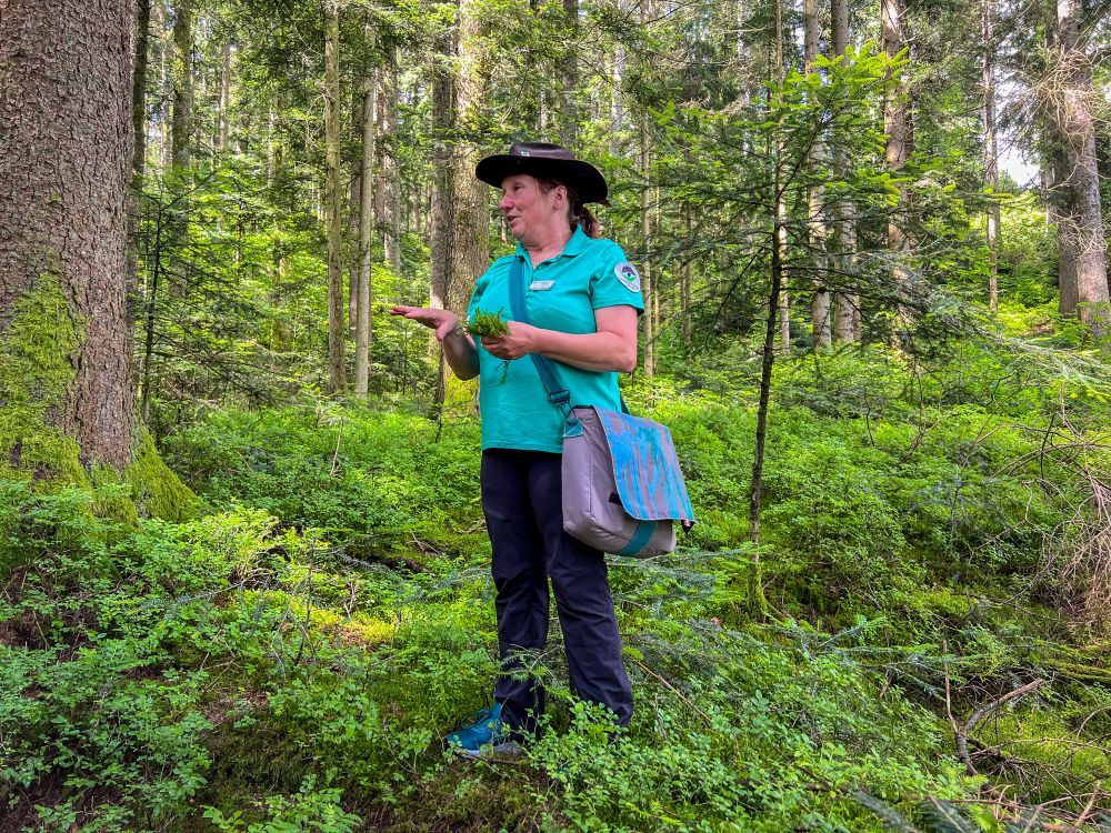 Anita Splitthof steht im Wald und hält Moos in der Hand.