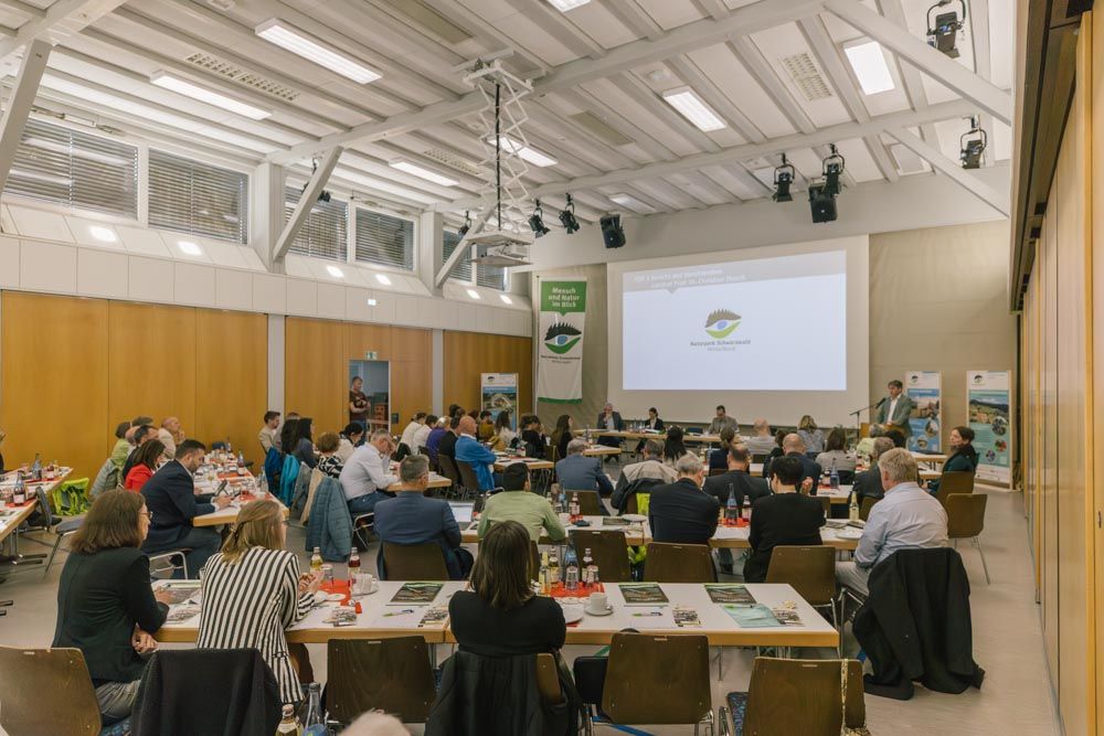 Menschen sitzen an Tischen bei der Mitgliederversammlung