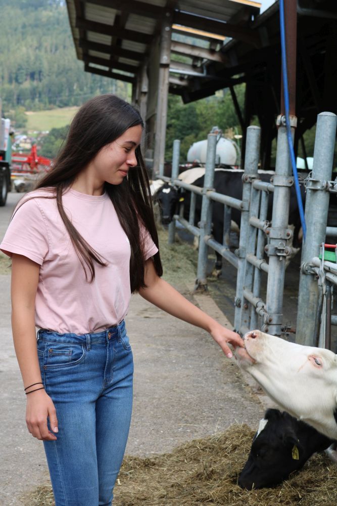 Eine Jugendliche steckt ihre Hand in das Maul einer Kuh im Stall.