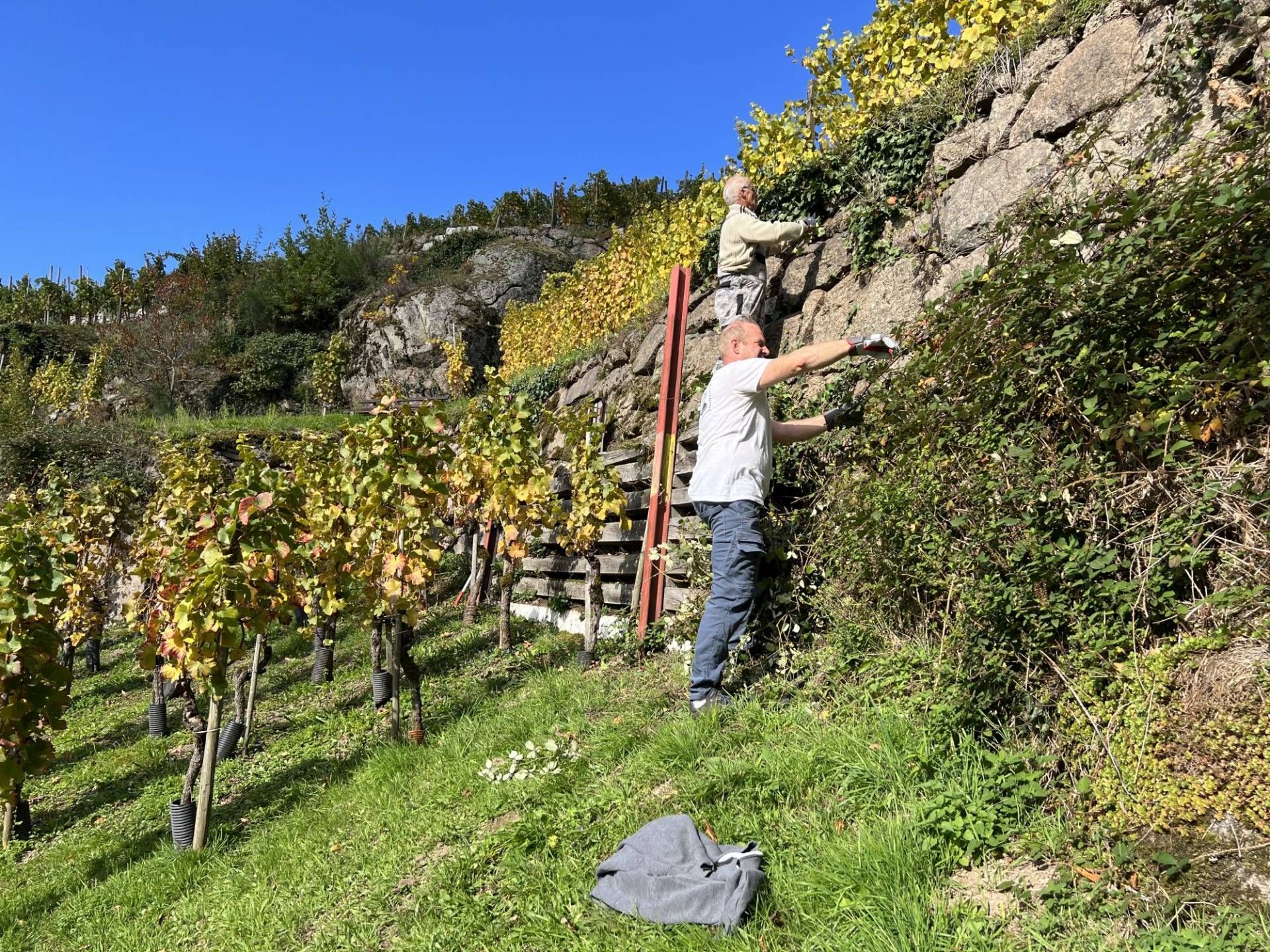 Ehrensache Natur in Bühlertal, Foto: Gundi Woll