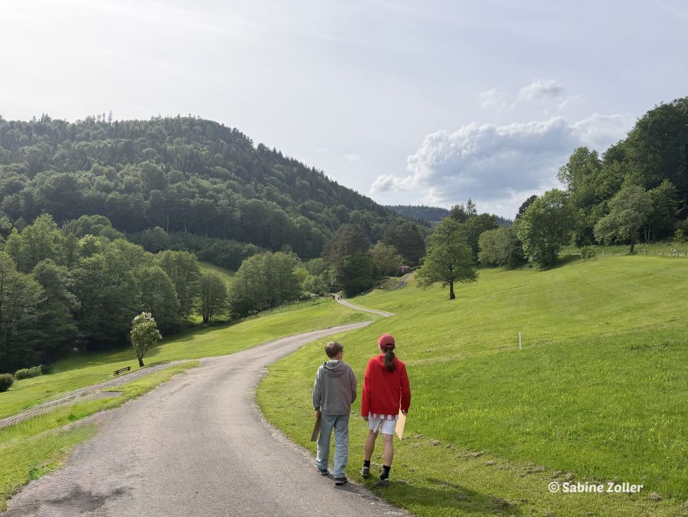 Kinder laufen mit Insektenkarten an einer Wiese vorbei mit Blick auf den Wald