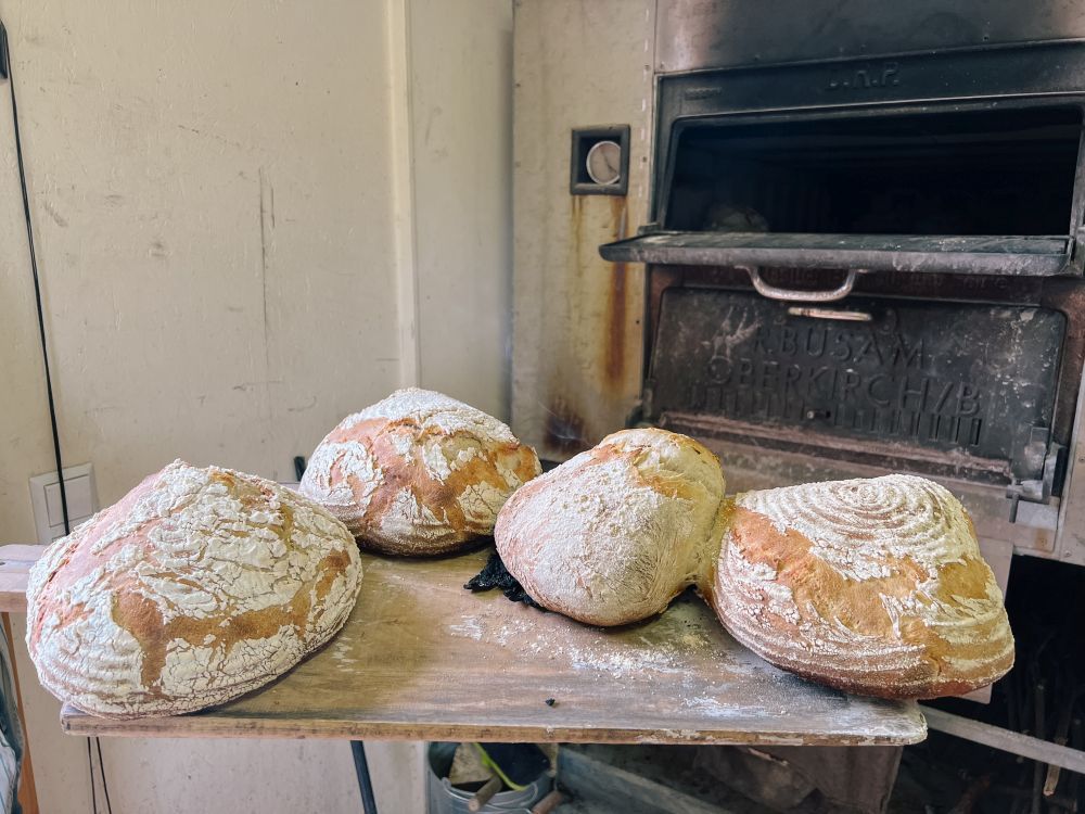 fertig gebackene Brotlaibe vor dem Ofen