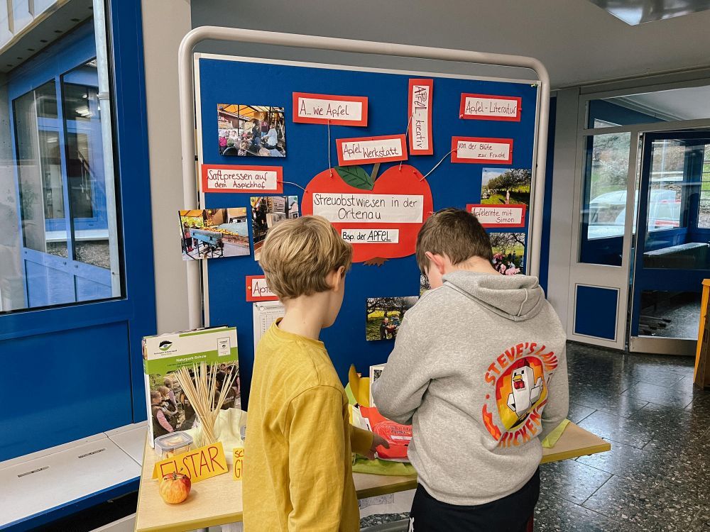 Kinder schauen sich eine Infostation zum Thema Apfel an.