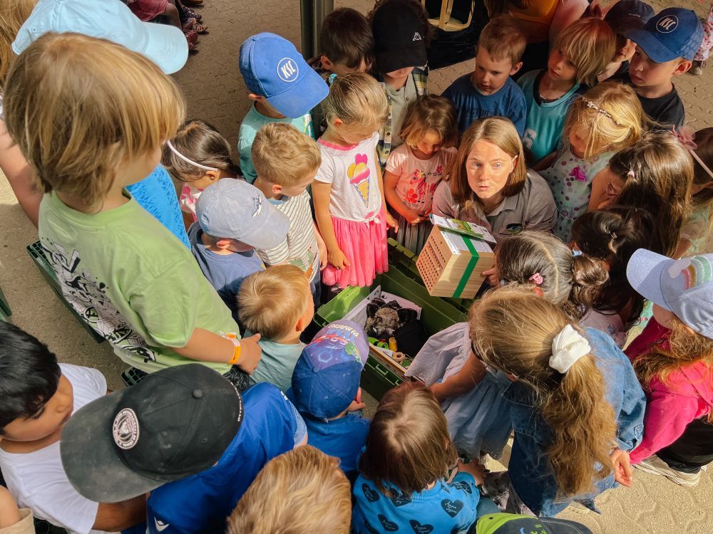 Eine Frau erklärt Kindern den Inhalt der Naturpark-Kiste.