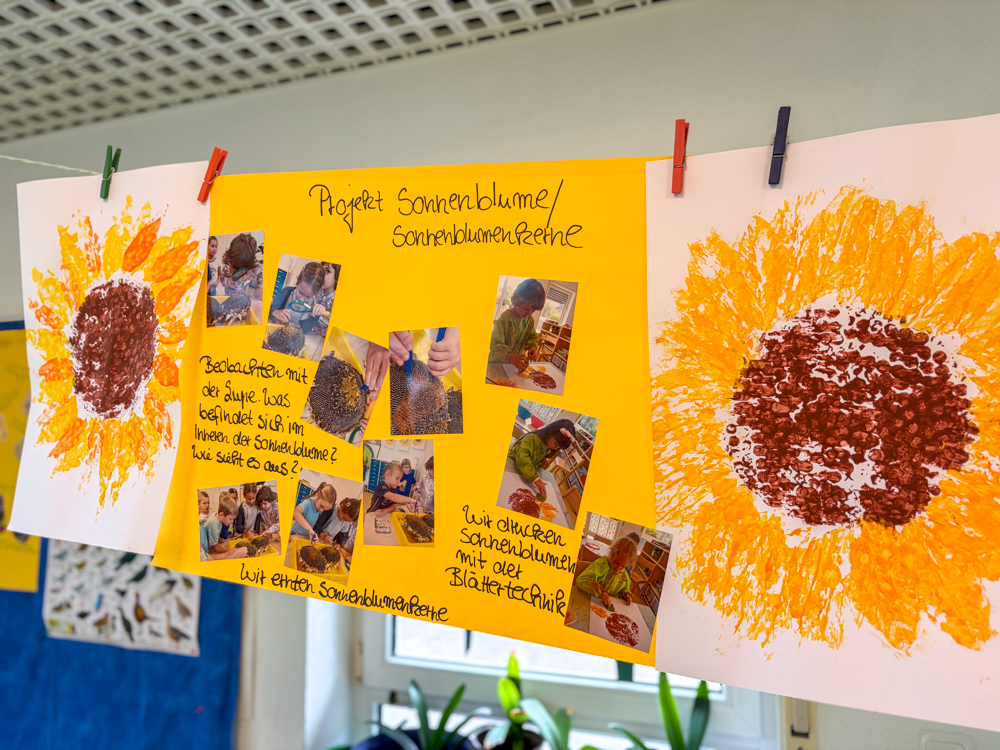 gemaltes Sonnenblumenbild mit Plakat mit Fotos zum Projekt