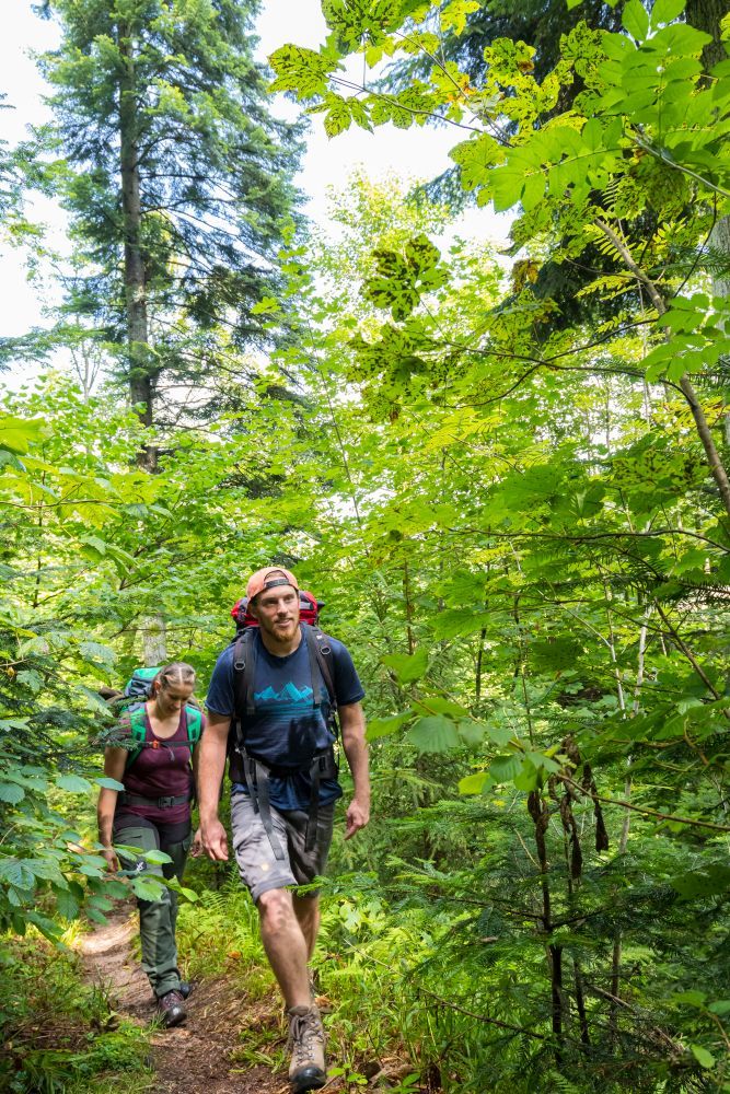 Ein Mann und eine Frau wandern durch einen Wald.