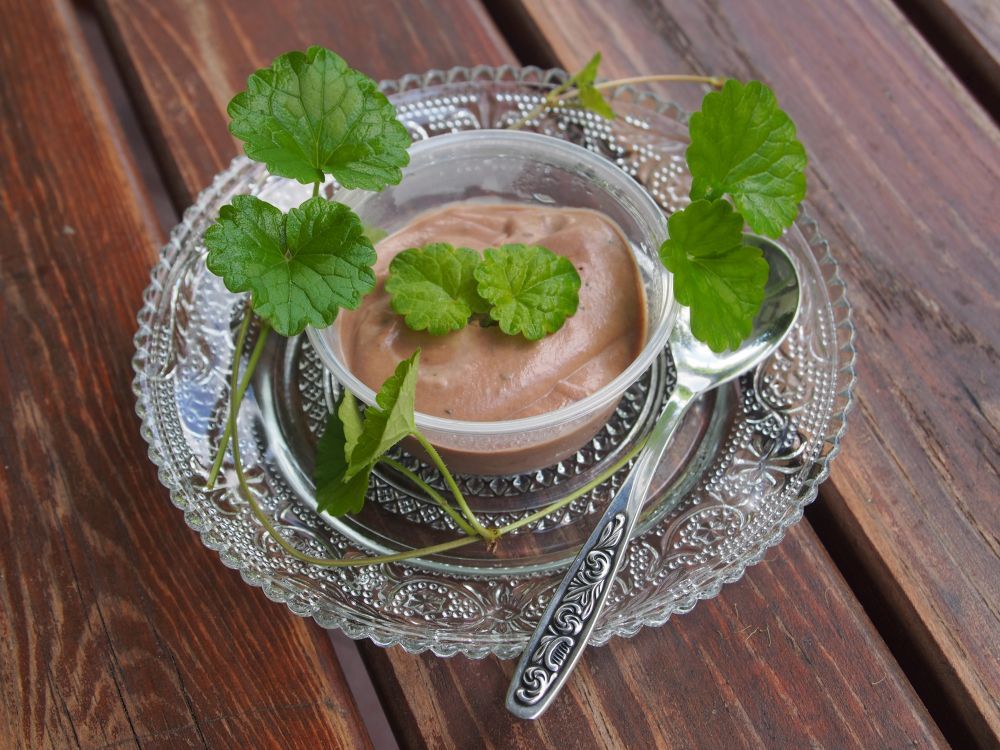 Schokoladencreme in einem Glasschüsselchen, garniert mit Blättern von Gundermannpflanze